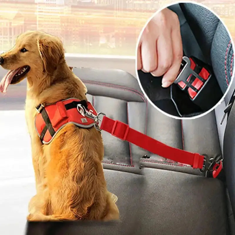 Adjustable Dog Safety Seat Belt - Doginoe