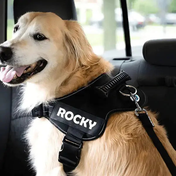 Adjustable Dog Safety Seat Belt - Doginoe