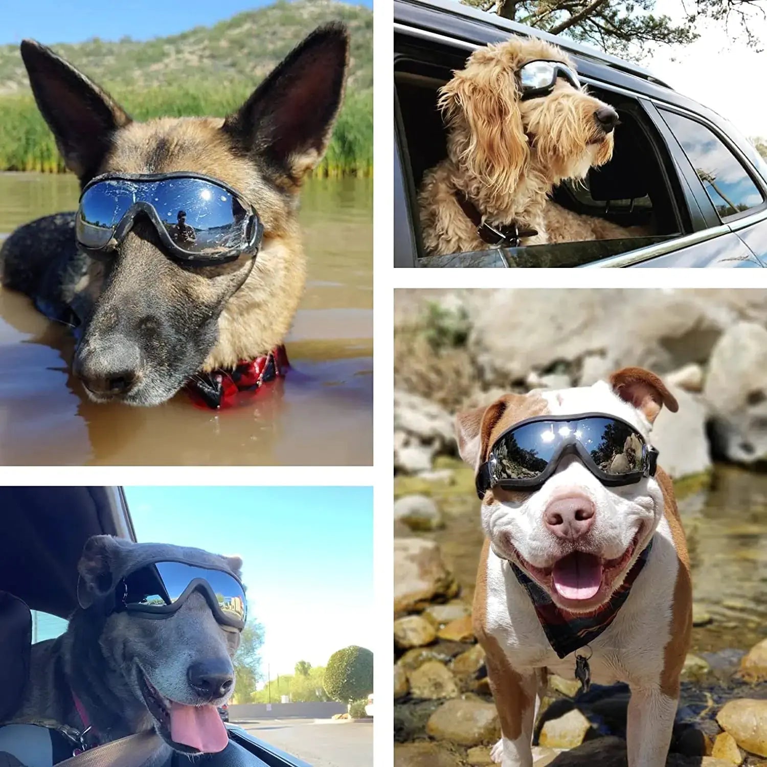 Adjustable Strap Dog Goggles - Doginoe 