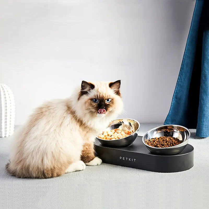 Stainless Steel Pet Double Feeder Bowls