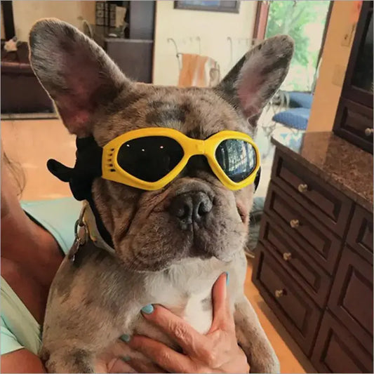 Dog Sunglasses - Doginoe