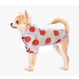 Small Pet Raincoat