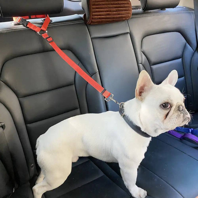 Adjustable Car Dog Seat Belt