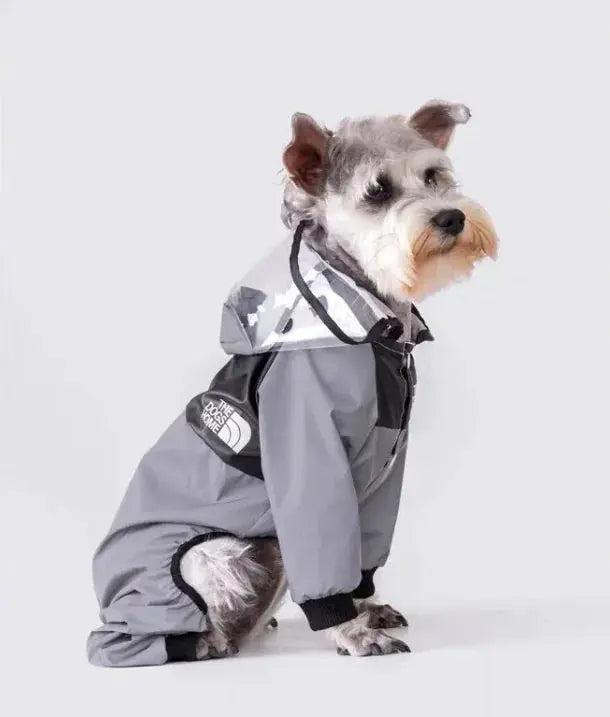 Paw Chic Personalized Raincoat - Doginoe