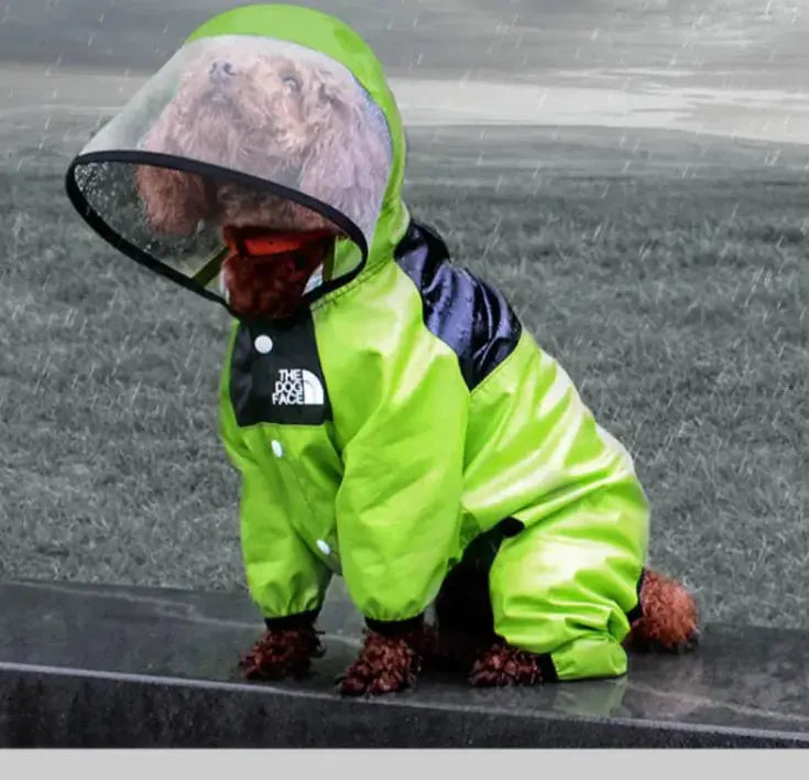 Paw Chic Personalized Raincoat - Doginoe