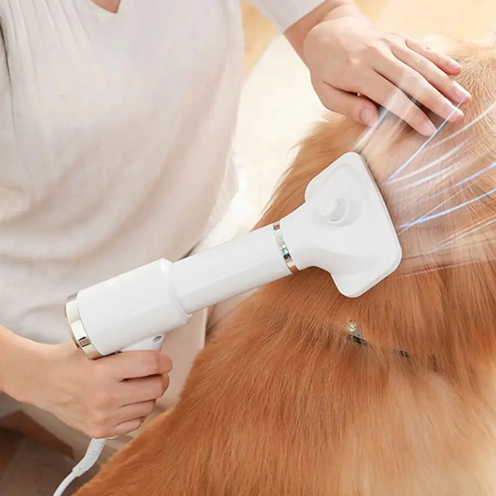 Portable 2 in 1 Dog Hair Dryer - Doginoe