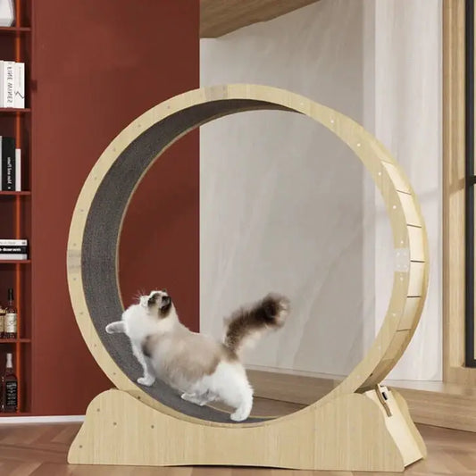 Purr Fit Cat Running Wheel - Doginoe