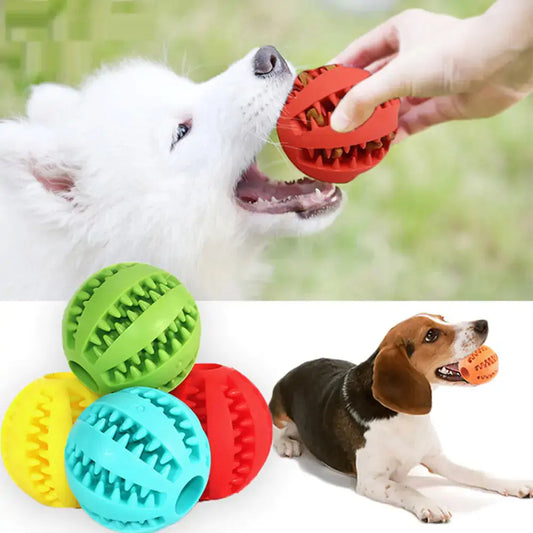 Rubber Balls Pet Toys - Doginoe