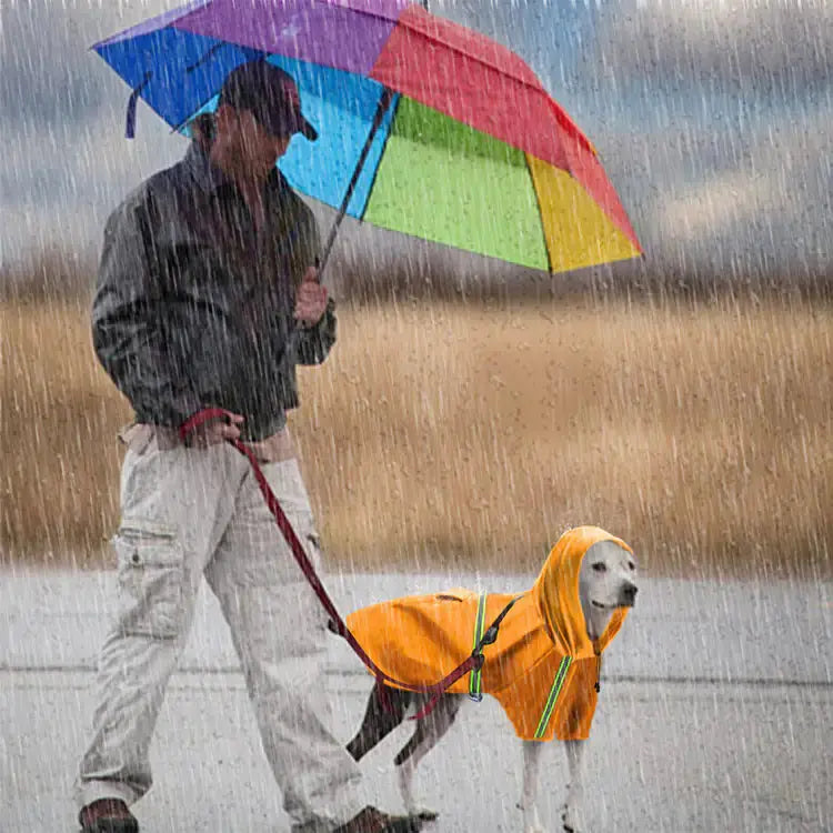 Spring and Summer Dog Raincoat - Doginoe